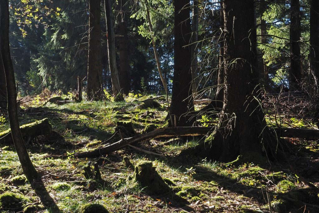 Teaser Tourismus in Schutzgebieten