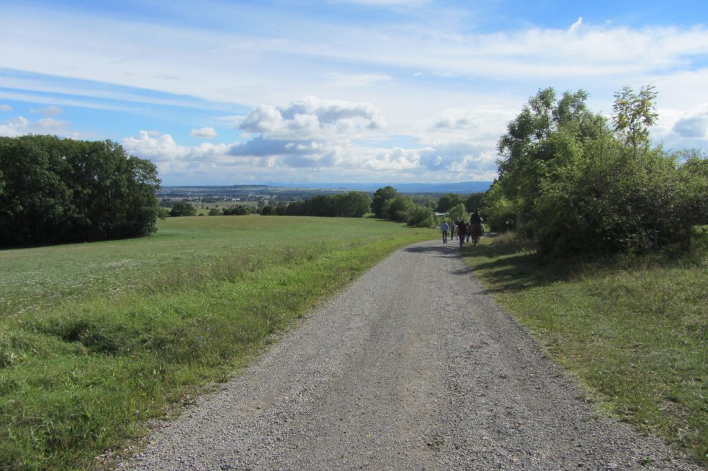 Schutzgebietsentwicklung