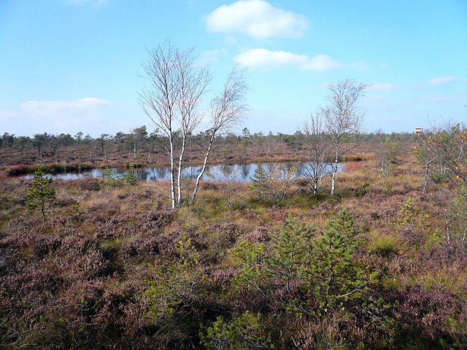 Natura 2000 Naturparke