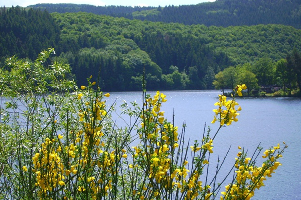 Grenzüberschreitender Naturparkplan Hohes Venn - Eifel