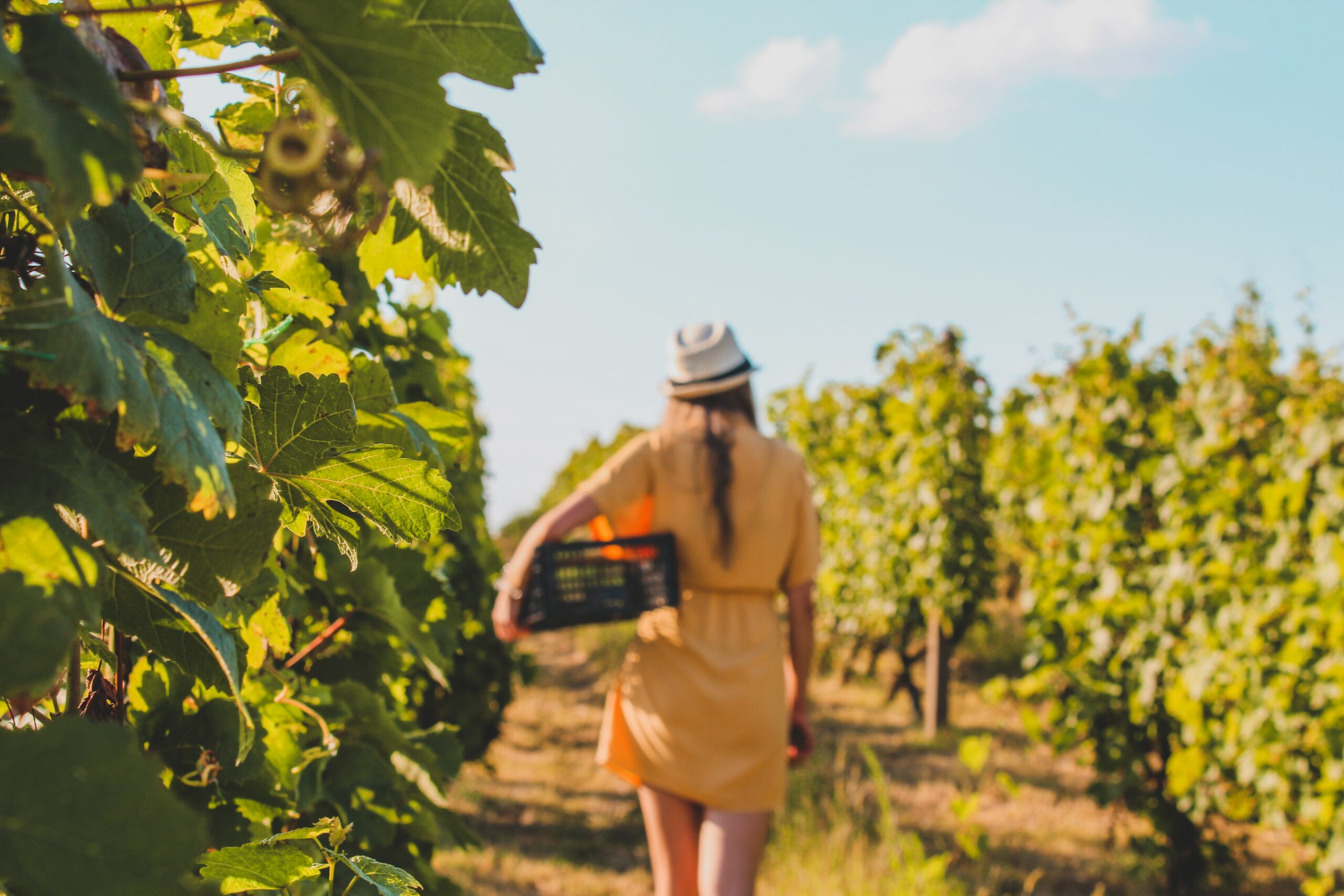 Produktnetzwerk Landtourismus Luxemburg