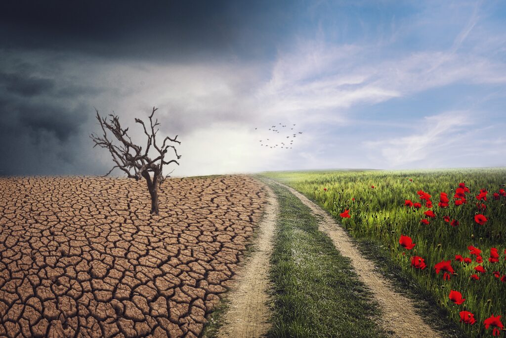 Klimaanpassung und Tourismus in Brandenburg