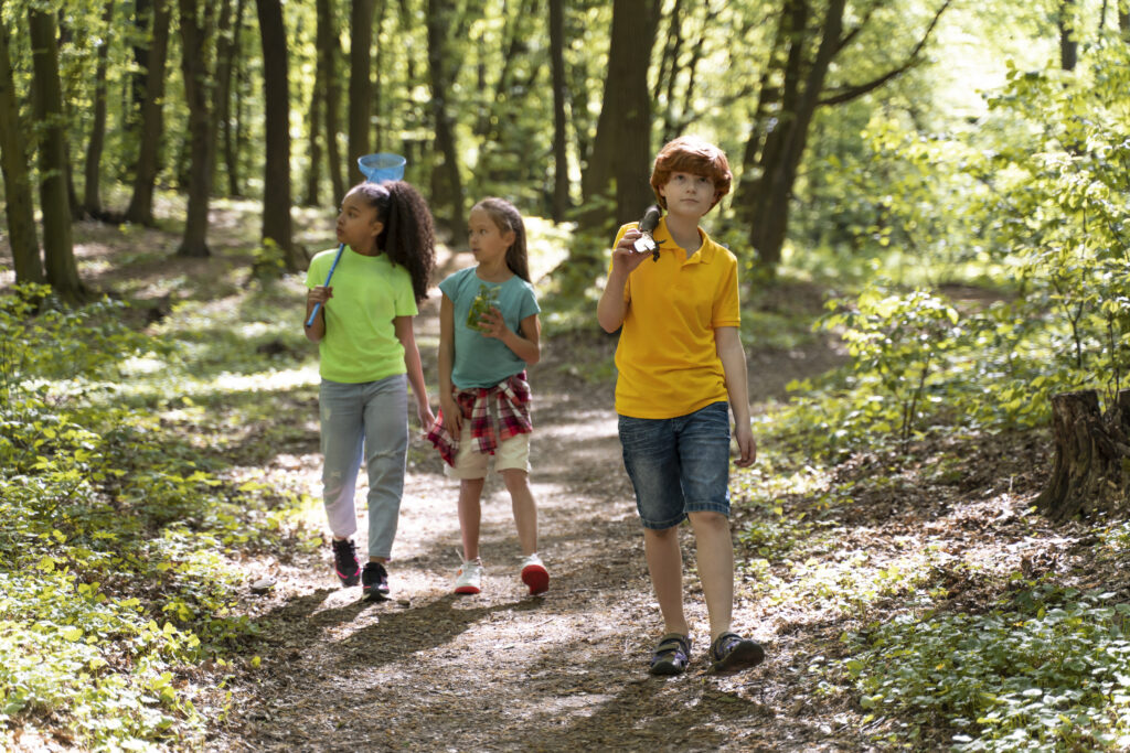 Naturerlebnisangebote für Kinder und Jugendliche aus stationären Wohngruppen im Naturpark Sauerland Rothaargebirge